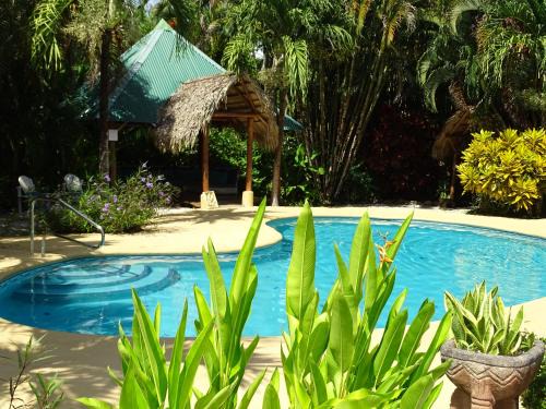 Malpaís Hotel | Indigo Yoga Surf Resort