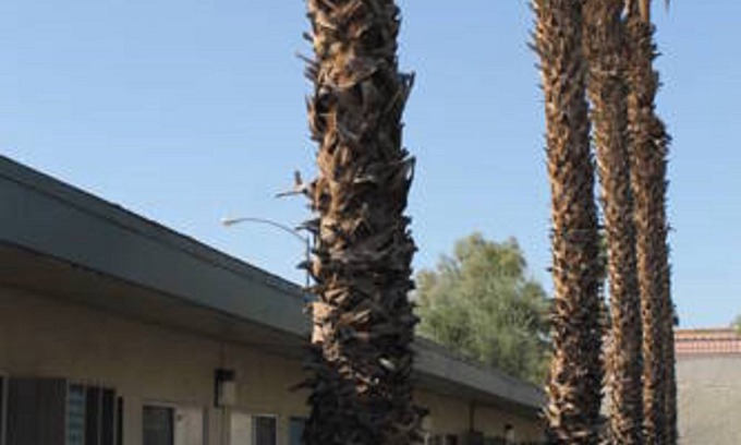 Indio Hotel | Indio Holiday Motel