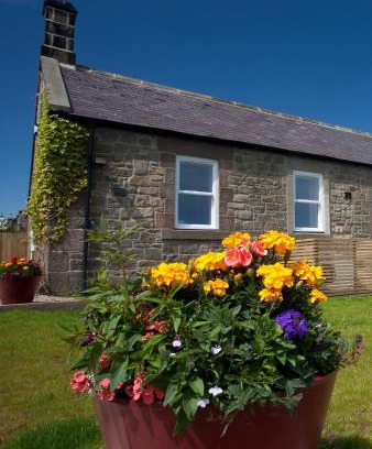 Wandylaw Casa | Inglenook a Wandylaw Cottage, a cosy one too