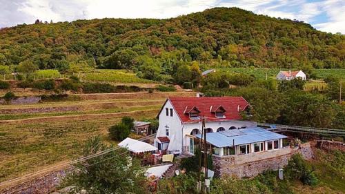 Somloszolos Casa | Inhauser Pincészet&Guesthouse&Restaurant