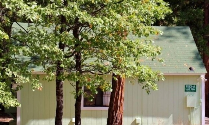 Foresta Cabina | DENTRO DE YOSEMITE! Diez minutos del valle de Yosemite