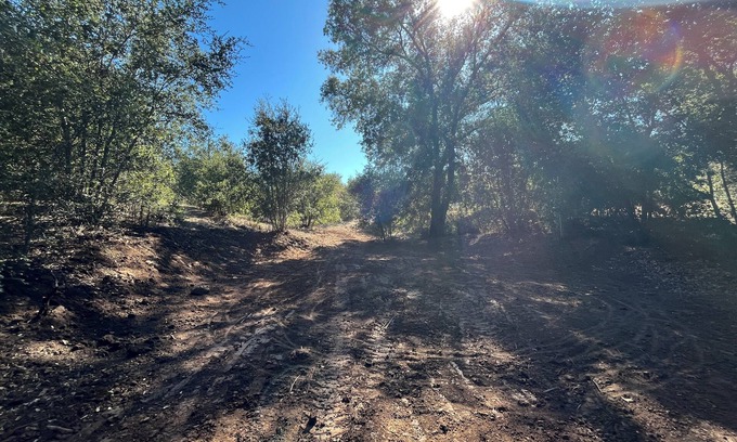 Valley Center Otro | Intimate and private oak grove micro venue!