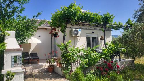 Skala Potamias Casa | Ioannis Houses - gemütliches Ferienhaus im Olivenhain