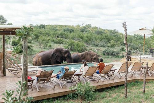 Maruleng Cabina | Isambane Camp