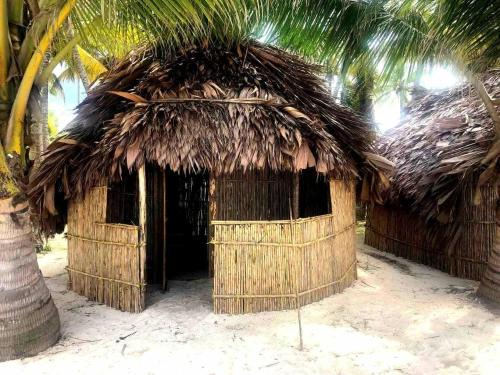 Carti Tupile Cama Y Desayuno | ISLA IGUANA San-blas GUNAYALA Panamá