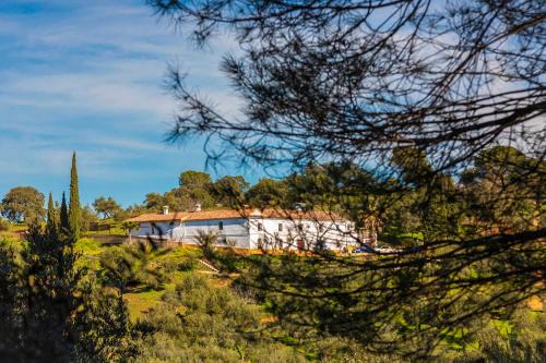 Villaviciosa de Córdoba Casa | Isla Virgen
