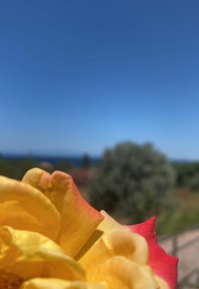 Lesvos Apartamento | Isolaire Residences