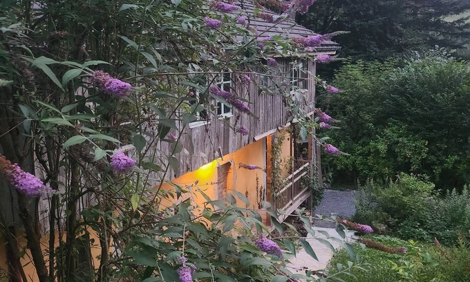 Thones Chalet De Esquí | Isolated chalet in the heart of nature, forest, river.