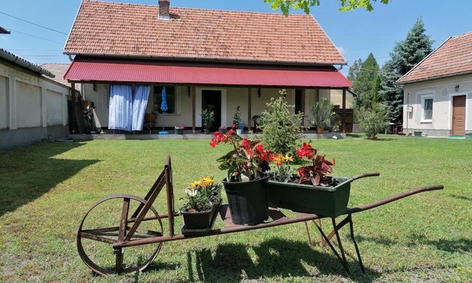 Morahalom Apartamento | István Vendégház