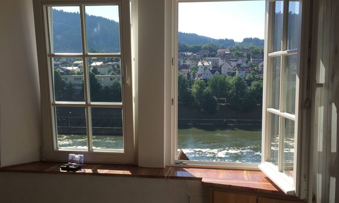 Hirschhorn Apartamento | It is the former supply house of Hirschhorn Castle.