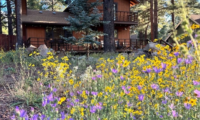 Kachina Village Cabina | It's a cool summer in Flagstaff! Enjoy the pines in a 3/2 with a king bed