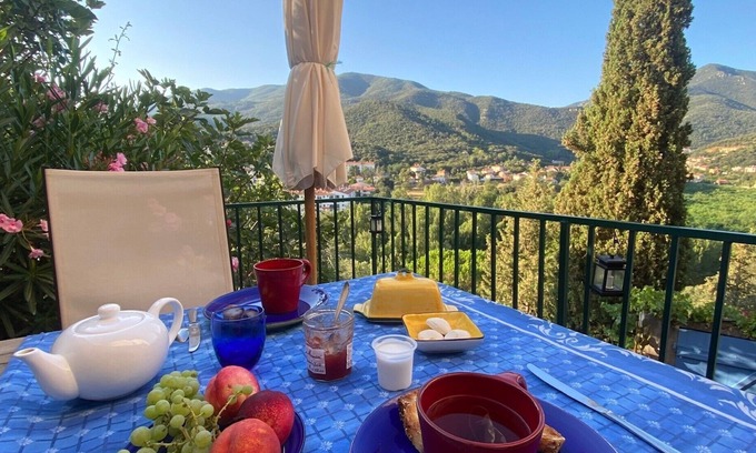 Amelie-les-Bains-Palalda Casa | it's a blue house, clinging to the hillside in the charming village of Palalda