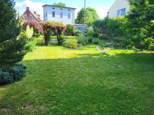 Pszczyna Apartamento | ivlo