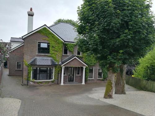 Claddagh Casa | Ivy House