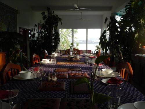 Bhopal Cama Y Desayuno | Ivy Suites