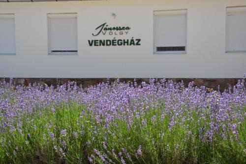 Ozd Apartamento | Jánossza-völgy Vendégház