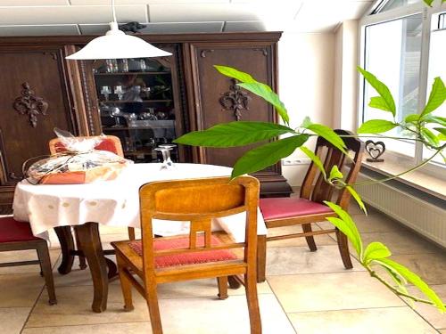 Obere Kyll Apartamento | Jünkerath Romantic Garden Stay, cleaning included
