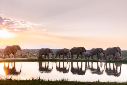 Thorny Bush Game Reserve Cabina | Jabulani Safari