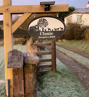 Dumfries Cama Y Desayuno | Jacquie's B&B -Dumfries-Room with a view