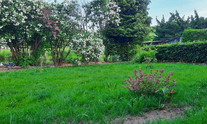 Gersdorf Apartamento | Jagdsteinblick
