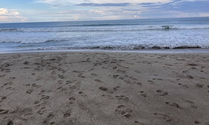 Hutchinson Island South Cabaña | Jan Feb March 2024 Oceanfront resort style community