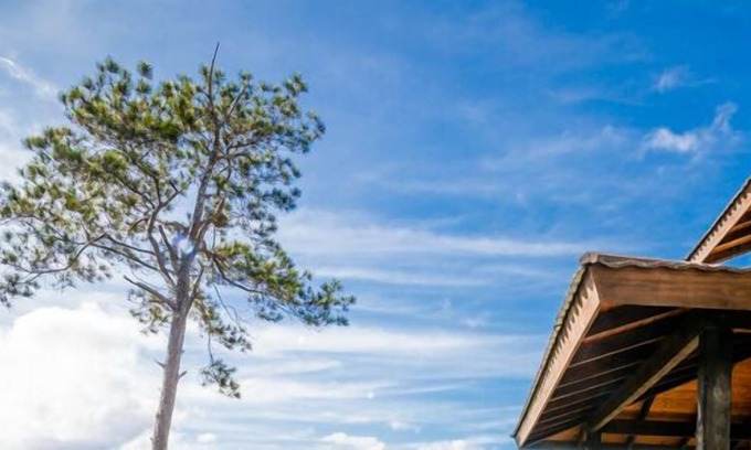 Jarabacoa Cabina | Jarabacoa Villas Ecolodge