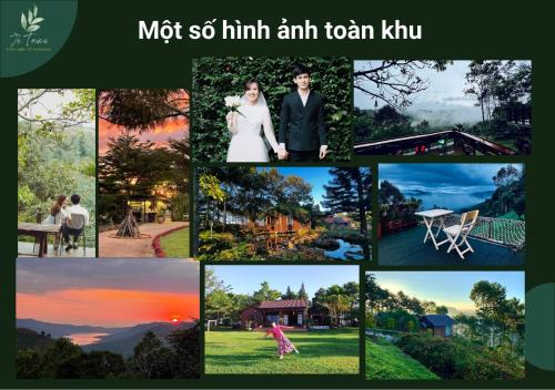 Bao Loc Cama Y Desayuno | JE T'AIME VILLA - Khu nghỉ dưỡng nhà vườn nằm giữa thiên nhiên bao la hoa cỏ