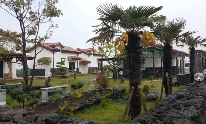 Pyeongdae-ri Condominio | Jeju Bijarim Midam Pension
