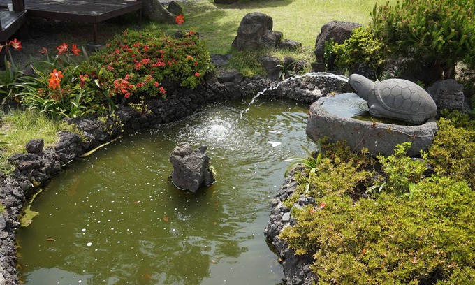 Jocheon Casa | Jeju Feel House