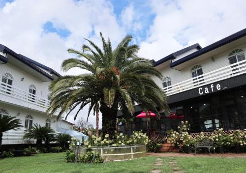 Hallim Complejo | Jeju Resortel