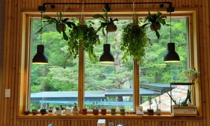 Jeongseon Casa | Jeongseon Solmi Pension