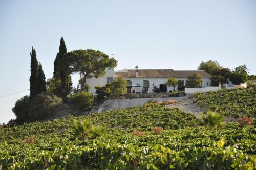 Jerez de la Frontera Casa | Jerez Viña Santa Petronila