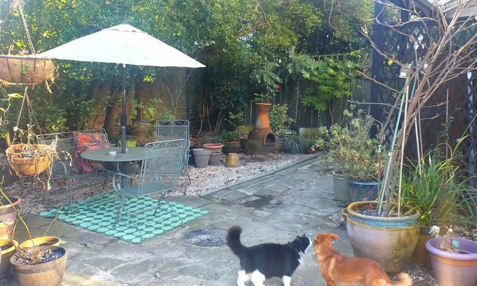 Hull Cama Y Desayuno | Jesmond Vegan B&B