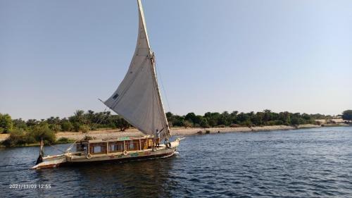 Aswan Alquiler De Eote | JJ Jamaica Felucca