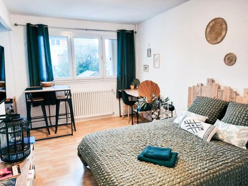 Limoges Apartamento | JOLI STUDIO AVEC PARKING ET NETFLIX - Proche du palais des exposition, du stade de Beaublanc et du Zenith