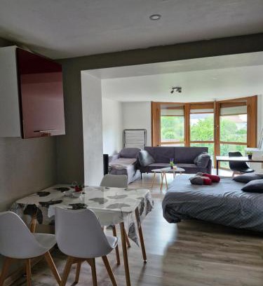 Chantraine Apartamento | Joli studio une pièce 15min à pied centre dEpinal 4 personnes grâce au canapé lit, parking privé gratuit et parking extérieur gratuit Machine à laver TV wifi machine à café linge de lit et serviettes fournis