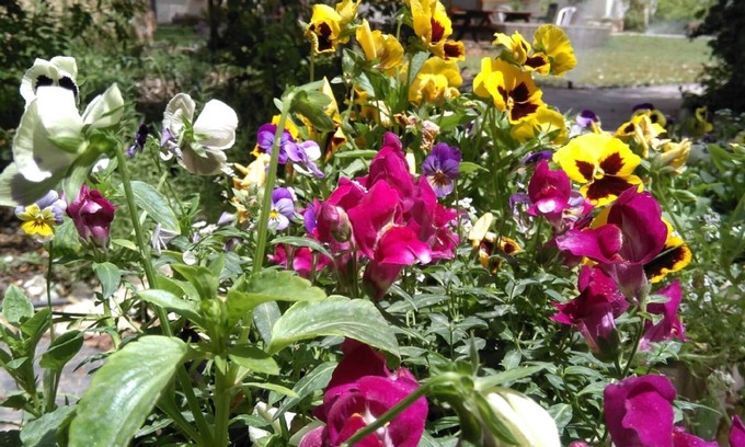 Kfar Ruppin Casa | Jordan Valley Birding Lodge