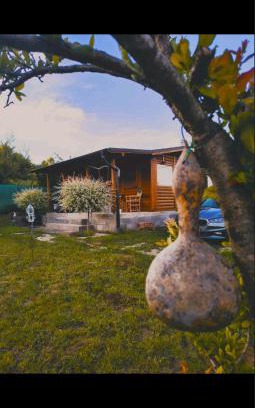 Central Serbia Casa | Jos 5 minuta