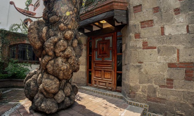 Del Carmen Casa | Jr Suite en el Centro de Coyoacán