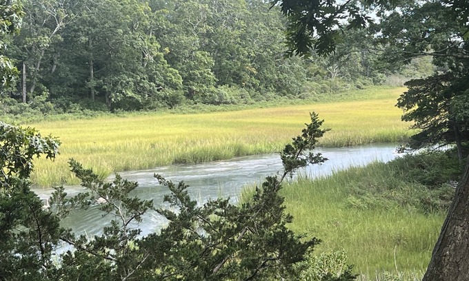 Cutchogue Casa | July-Oct: 3 bm charming Waterfront Artist Cottage for Rent In North Fork, NY