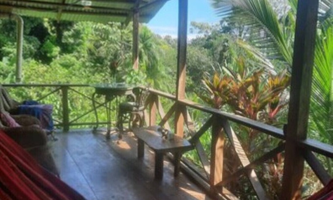 Isla Bastimentos Apartamento | Jungle Cabin, with ocean views, monkeys and sloths 5 min walk to amenities