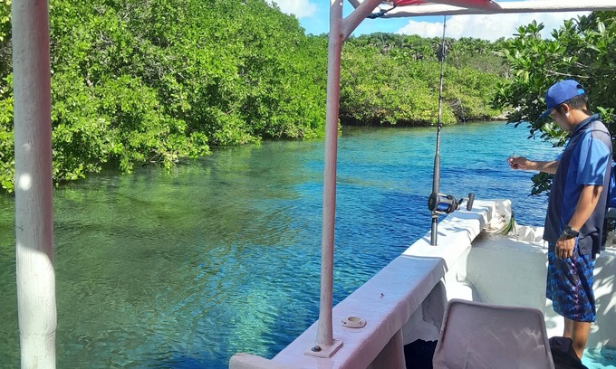 Akumal Cabina | Cabaña en la selva con cenote