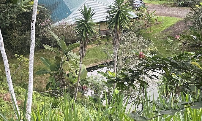 Ciudad Cortés Villa | Jungle escapada de montaña Bosque