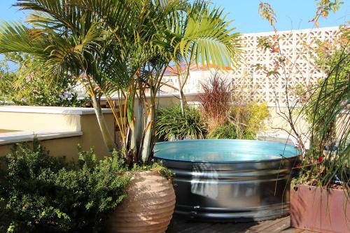 Jaffa Apartamento | Jungle in Town - Central Jaffa