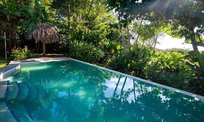 Cabuya Cabina | Jungle Lodge at Wild Sun Rescue