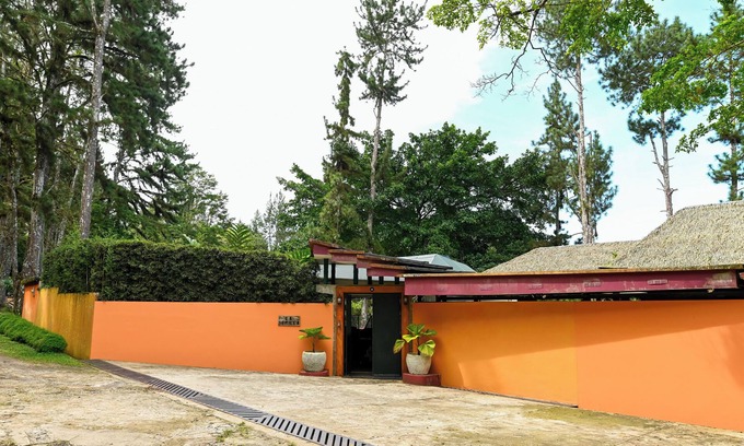 Cerro Azul Cama Y Desayuno | Jungle Mansion - 9 Bedrooms with pool, bar, game room & more