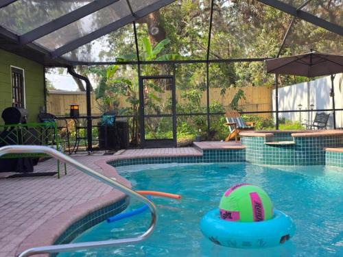 Temple Terrace Apartamento | Jungle Oasis By Busch Gardens USF and Amphitheater