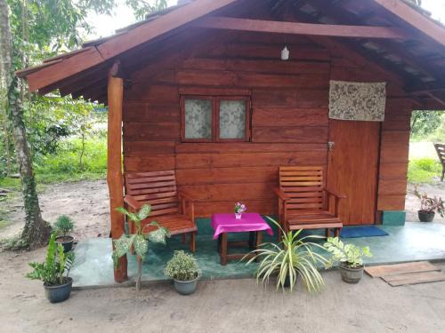 Boossa Otro | Jungle Paradise