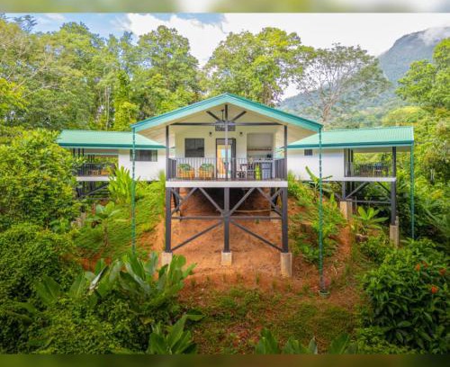 Ballena Cabina | Jungle Passion Lodge
