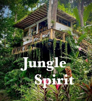 Cahuita Casa | Jungle Spirit Treehouse